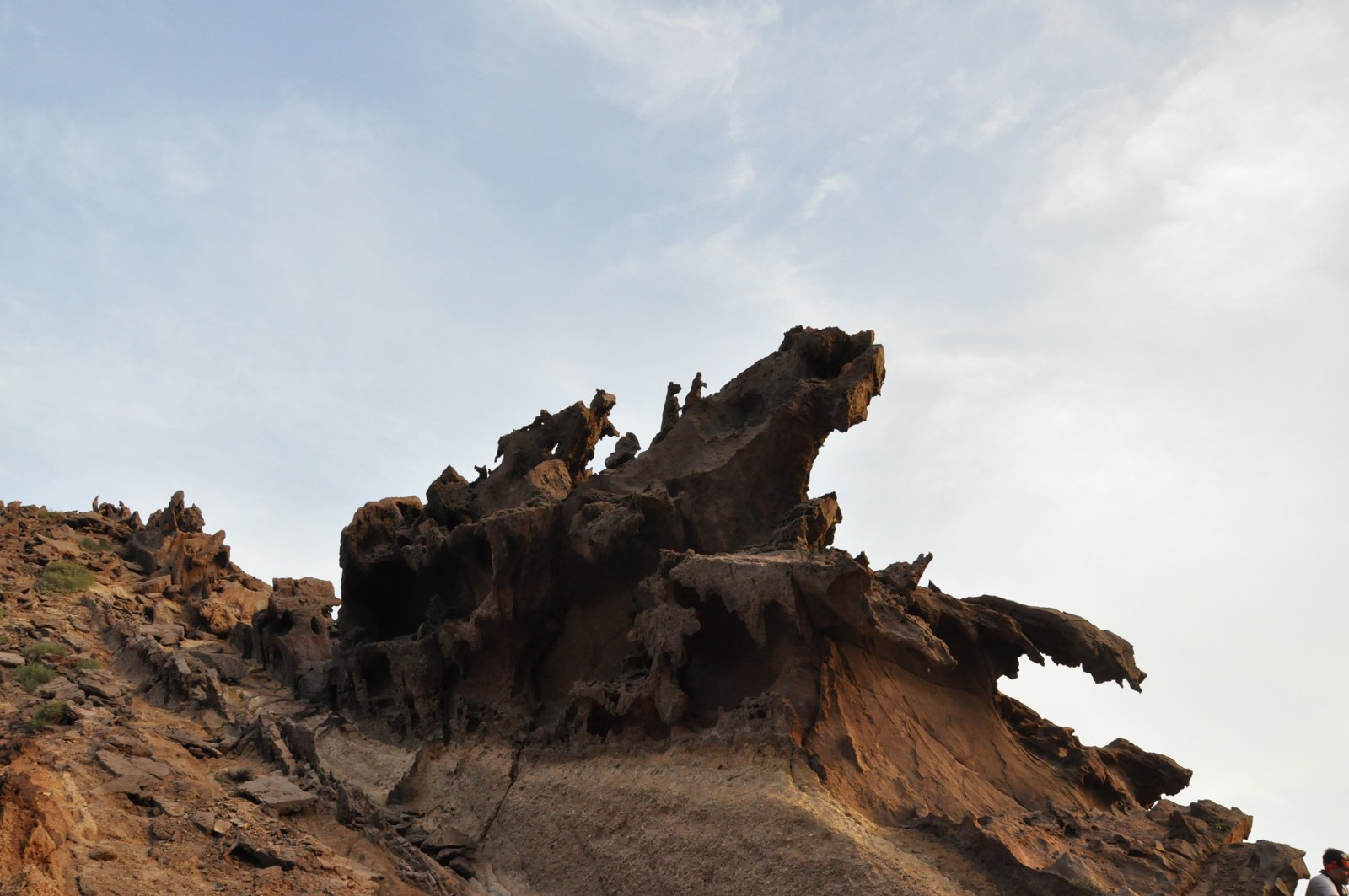Nature photograph by Mehran Imani — Qeshm · Hormuz · Hengam
