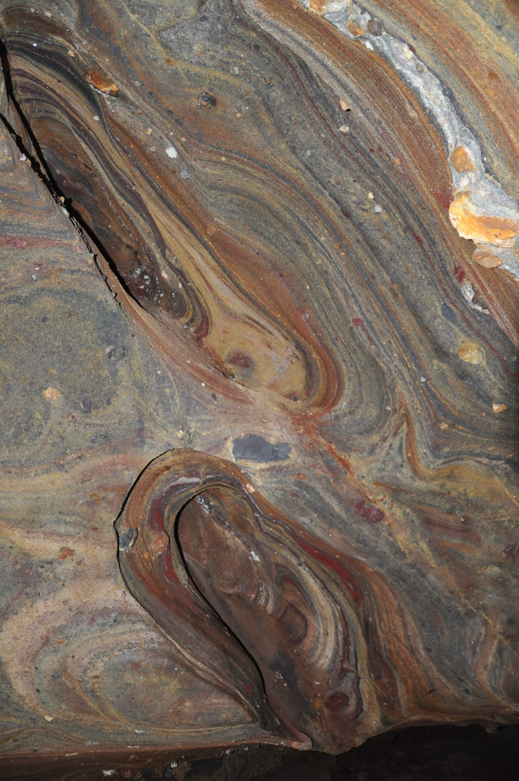 Nature photograph by Mehran Imani — Qeshm · Hormuz · Hengam